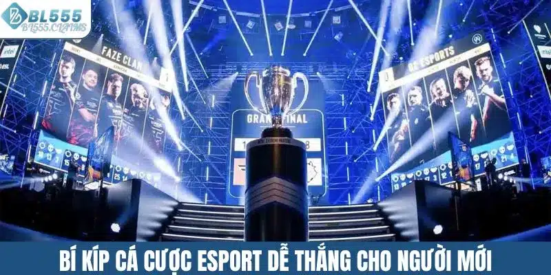 Bí kíp cá cược esport dễ thắng cho người mới