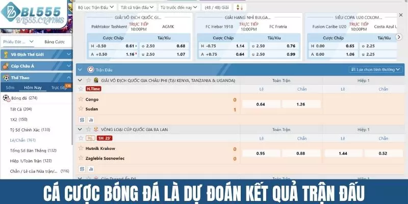 Cá cược bóng đá là việc dự đoán kết quả trận đấu