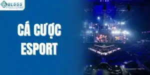Cá cược esport