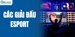 Các giải đấu esport