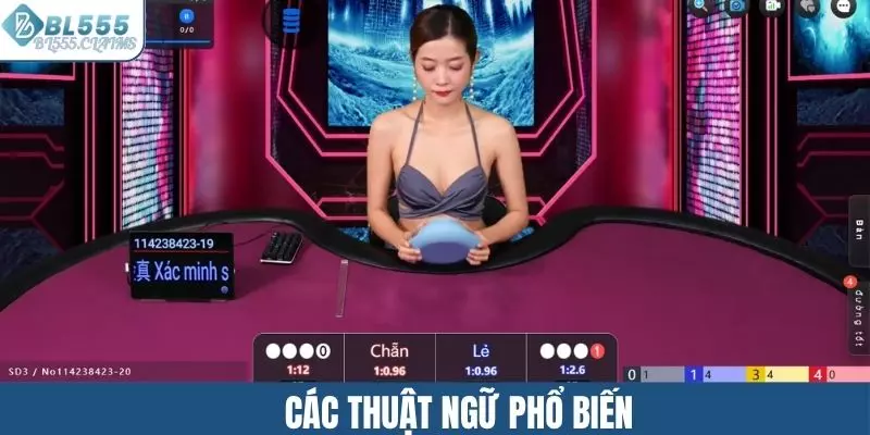 Các thuật ngữ xuất hiện trong trò chơi