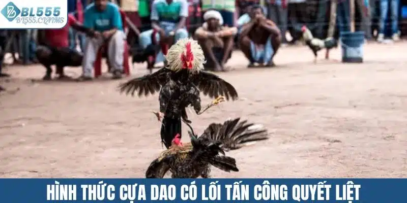 Hình thức cựa dao có lối tấn công quyết liệt