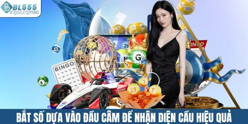 Hội viên bắt số dựa vào đầu câm để nhận diện cầu hiệu quả