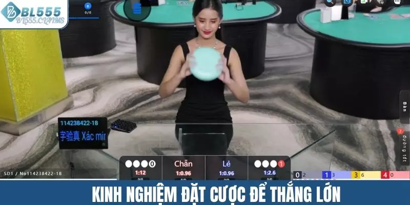 Kinh nghiệm đặt cược để mang về phần thưởng khủng