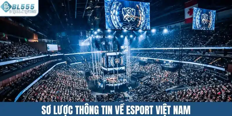 Sơ lược thông tin về esport Việt Nam